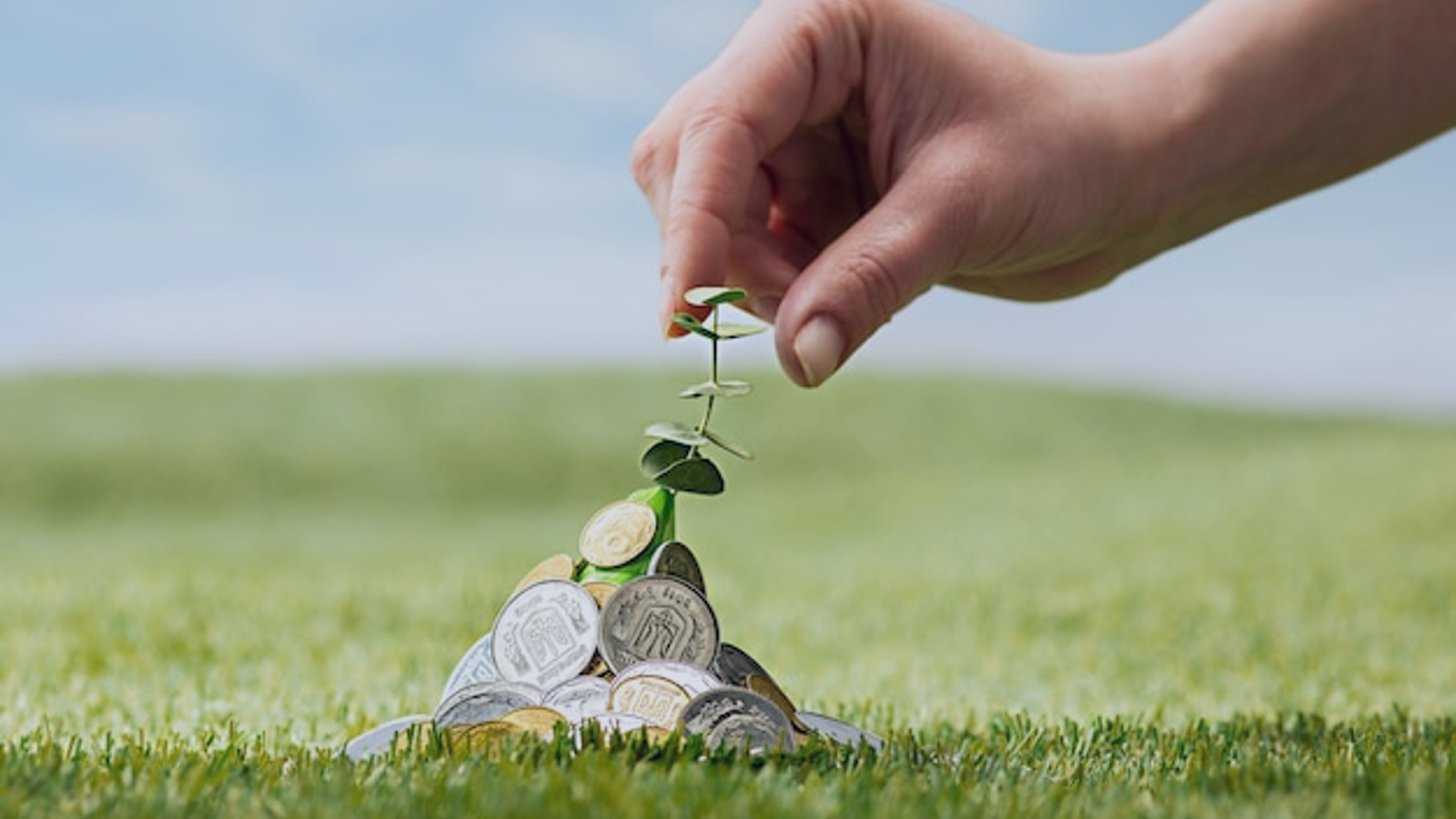 Understanding the basics of Nonprofit Accounting